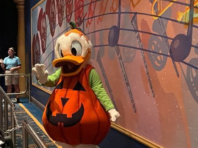 1767301506421.jpeg 1767301506421.jpeg