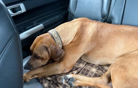 image1.jpeg image1.jpeg