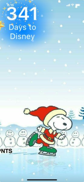 SNOOPY WINTER SKATE.jpeg