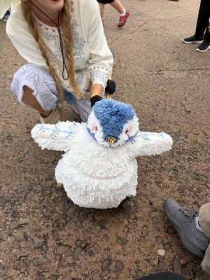 IMG_6376.JPG IMG_6376.JPG