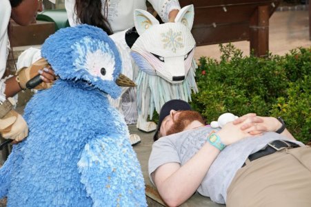 2025-11-29 - Disneys Animal Kingdom Park - Discovery island_7.jpeg 2025-11-29 - Disneys Animal Kingdom Park - Discovery island_7.jpeg