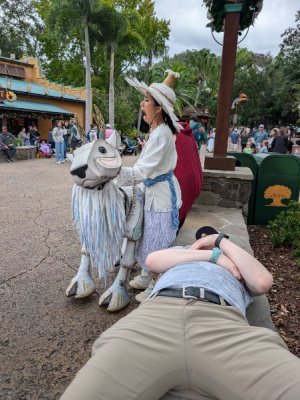 PXL_20251129_191107254.jpg PXL_20251129_191107254.jpg