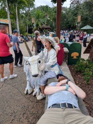 PXL_20251129_191110712.jpg PXL_20251129_191110712.jpg