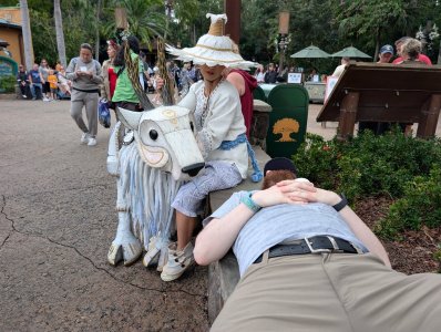 PXL_20251129_191137496.jpg PXL_20251129_191137496.jpg