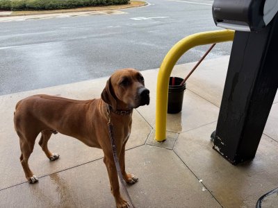 image5.jpeg image5.jpeg