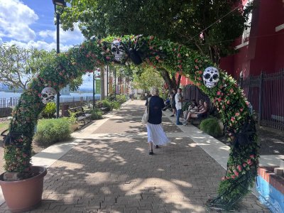 Pigeon Park 2.jpeg Pigeon Park 2.jpeg