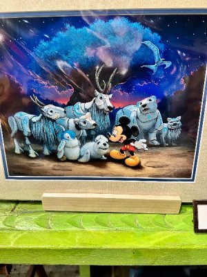 IMG_6474.jpeg IMG_6474.jpeg