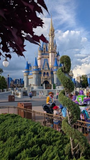 PXL_20250923_212930239.MP.jpg PXL_20250923_212930239.MP.jpg