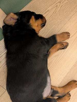 PXL_20260103_200007357.jpg PXL_20260103_200007357.jpg