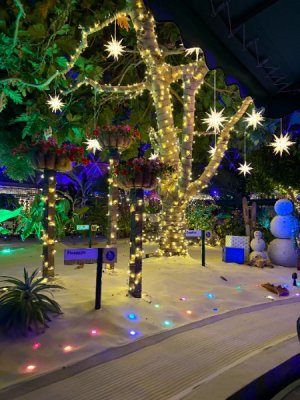 IMG_6449.JPG IMG_6449.JPG