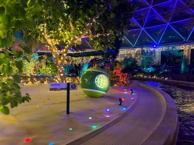 IMG_6453.JPG IMG_6453.JPG