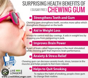 IMG_2874.jpeg IMG_2874.jpeg