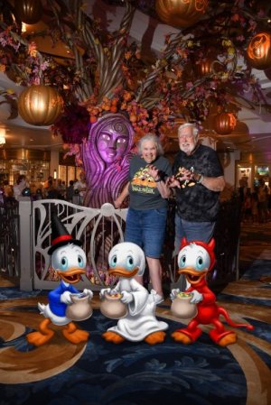 1767872523458.jpeg 1767872523458.jpeg