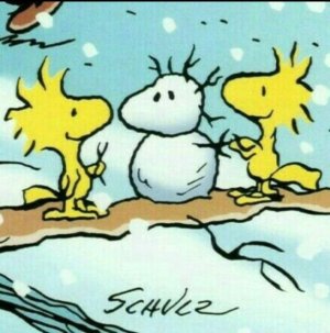 WOODSTOCK WINTER.jpeg