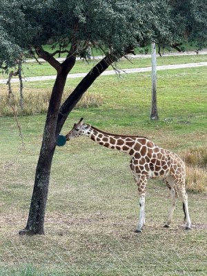 IMG_0987.jpeg IMG_0987.jpeg