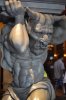 DSC_1006TR.jpg