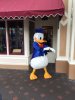 donald.jpg