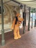 pluto.jpg