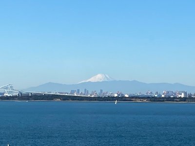 IMG_3007.jpeg IMG_3007.jpeg