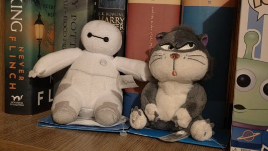 1000026757.jpg 1000026757.jpg