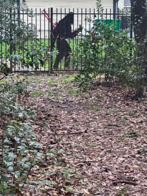 IMG_1421.jpeg IMG_1421.jpeg