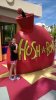 WP_20150623_014.jpg
