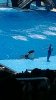 WP_20150624_024.jpg
