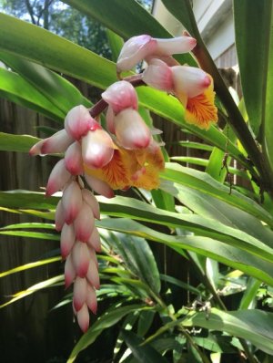 IMG_1696.jpeg IMG_1696.jpeg