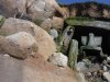 DSCF6649.JPG