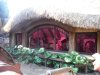 DSCF6661.JPG