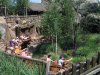 DSCF6787.JPG