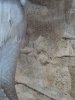 DSCF7799 (768x1024).jpg