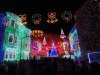 DSC00773.jpg