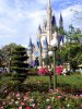 DSC08936.JPG