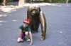 DSC_1586.jpg