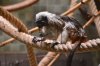 DSC_1598.jpg