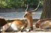 DSC_1613.jpg