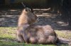 DSC_1621.jpg