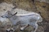 DSC_1641.jpg