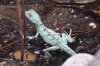 DSC_1735.jpg