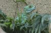 DSC_1736.jpg