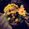 2015-07-05 13.24.32.jpg