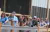 IMG_7809a.jpg