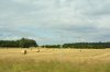 DSC_1747.jpg