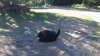 100_0118.JPG