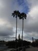 DSCF5591.JPG
