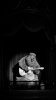 DSC01449 (2) (575x1024).jpg