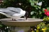 DSC_9210.JPG
