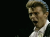what2.gif
