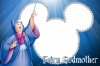 fairy godmother.jpg